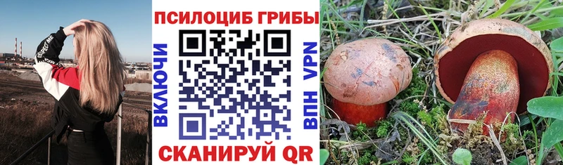 omg онион  Краснокамск  Псилоцибиновые грибы Psilocybine cubensis 